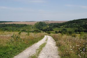 Widok na drogę do Puźnik